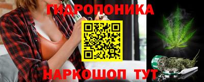 молекула духа Сланцы