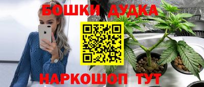 молекула духа Сланцы