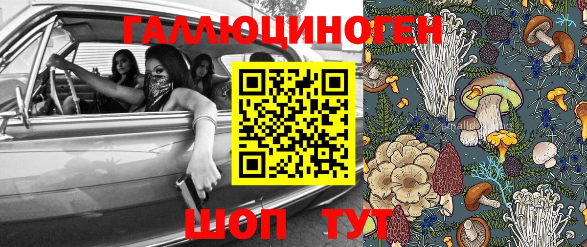 Мегион  дарнет шоп  Вход с VPN  Псилоцибиновые грибы Psilocybe 
