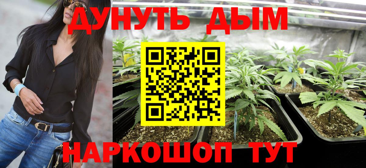 Мегион  Бошки Шишки план  Бошки Шишки AK-47  Бошки Шишки сатива  Вход с VPN 